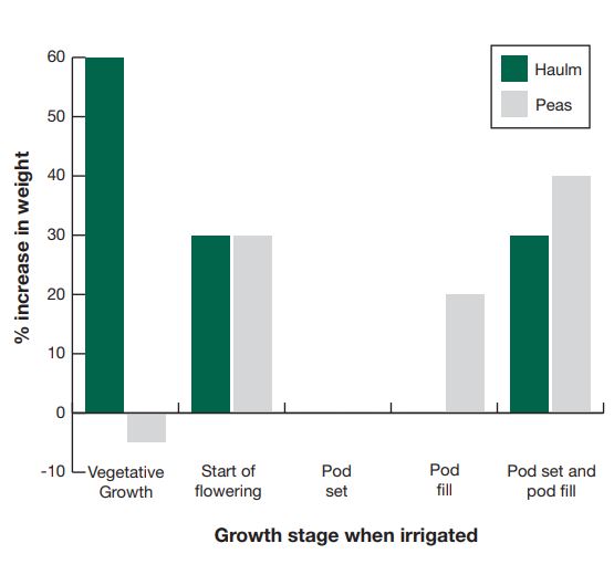 Response to irrigation in vining peas